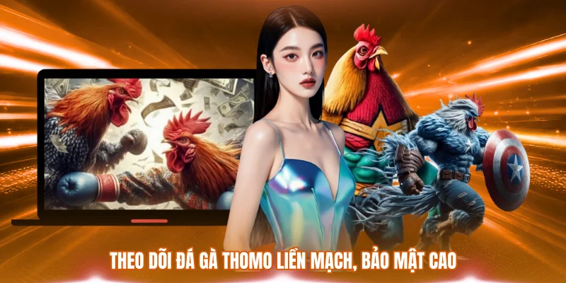 Kênh Xem Đá Gà Thomo Không Giật Lag - Chuẩn HD Trọn Vẹn 3 Theo dõi đá gà Thomo liền mạch, bảo mật cao